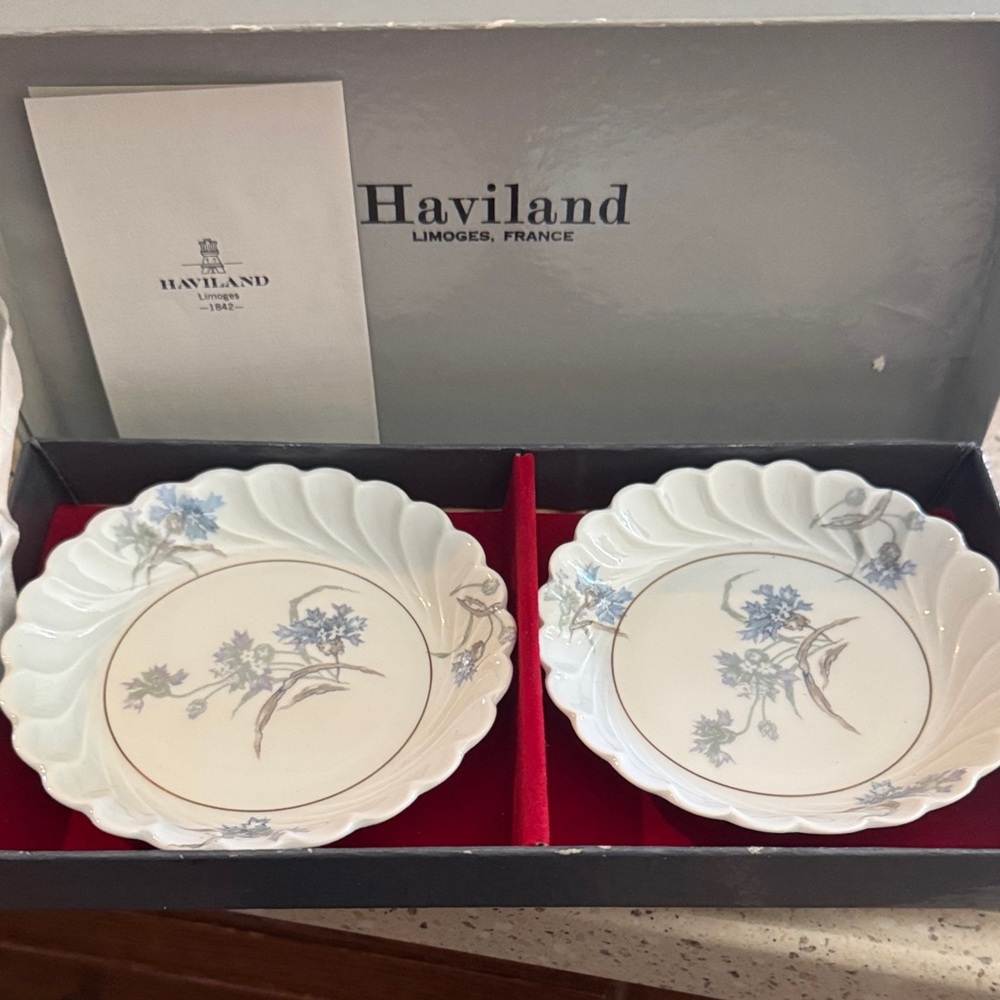 Haviland Limoges Blue Floral Dinnerware Set